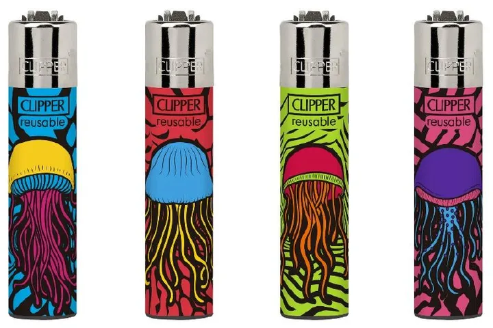 CLIPPER CP22 «Jelly Fish» — дисплей D48